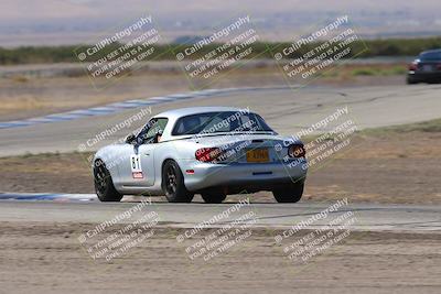 media/Oct-04-2025-OnGrid (Sat) [[44bd565ffa]]/Pink Group/Grapevine/